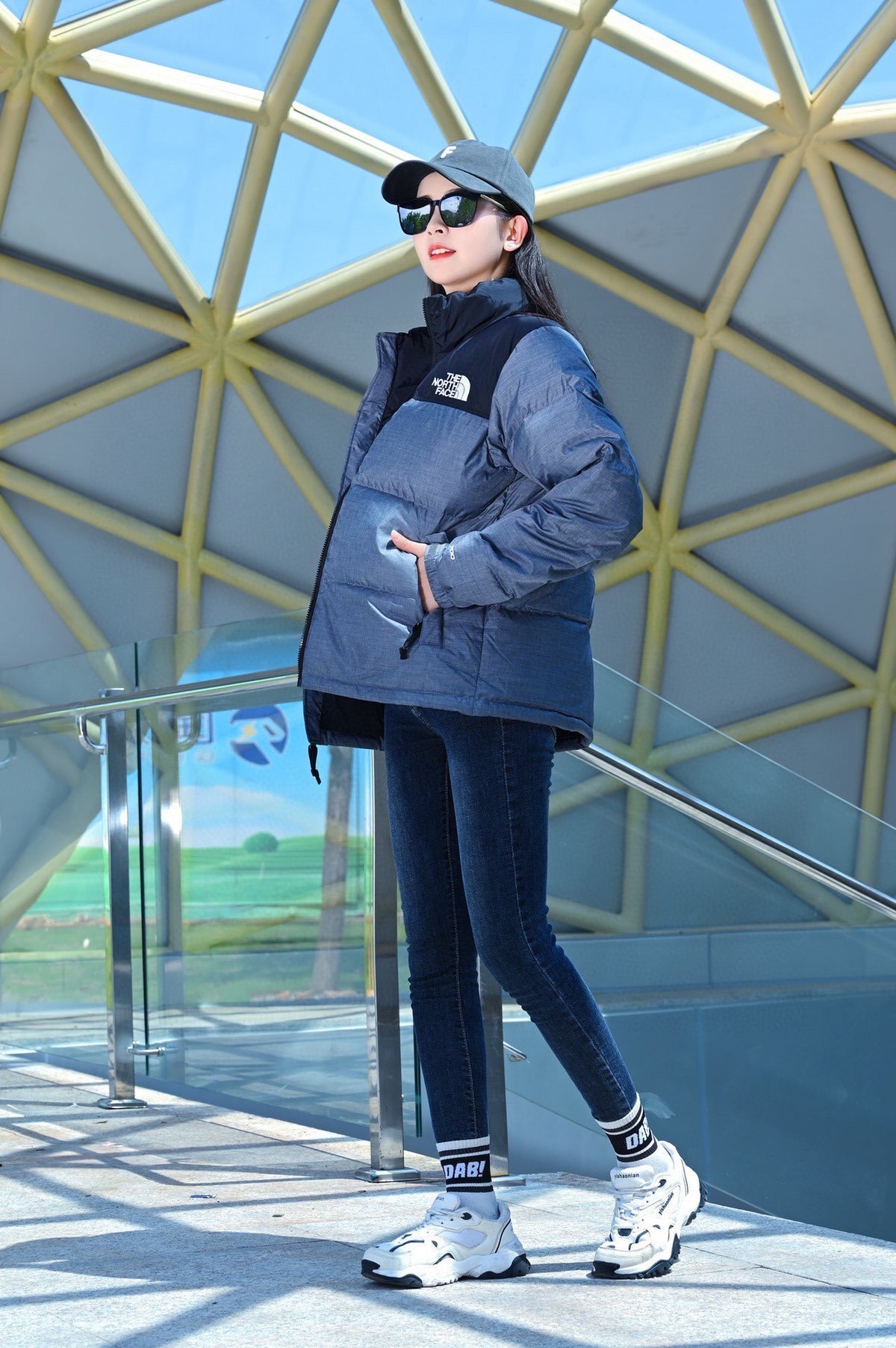 【代購5-7天發貨】THE NORTH FACE 1996 羽絨外套 銀色